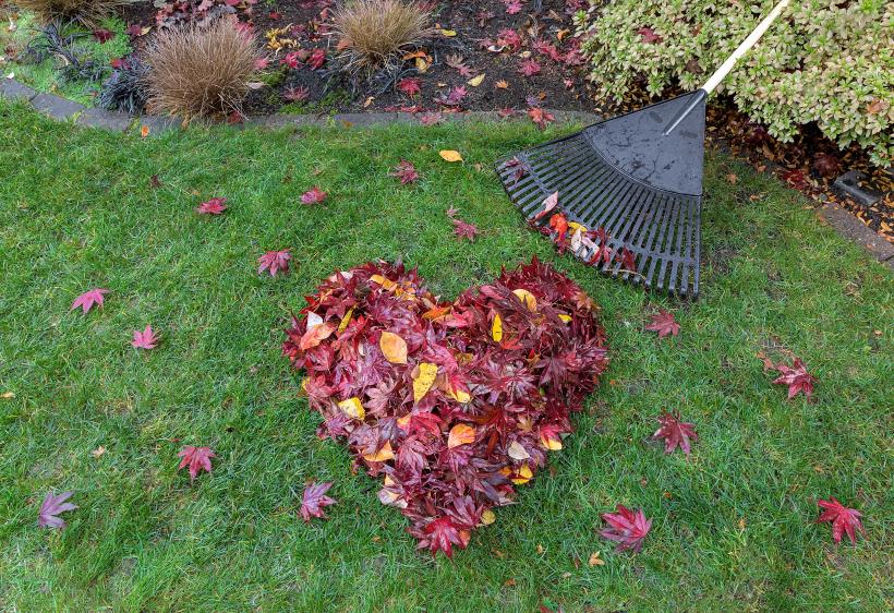 Raking Leaves - Have a Spring Ready Backyard in 5 Easy Steps